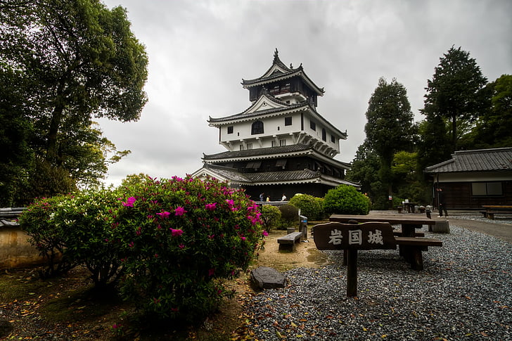 Castles, Architecture, Blossom, Bush, Cloud, Hiroshima, Iwakuni Castle, HD wallpaper