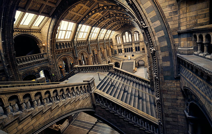 arch, museum, London, building, stairs, interior, Museum of Natural History