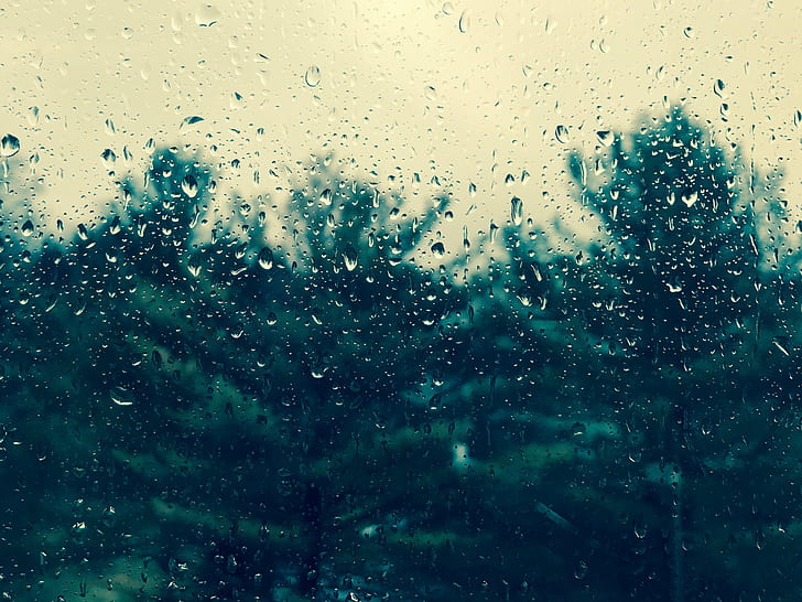 glass panel with water, Drops, rain, window, trees, raindrop