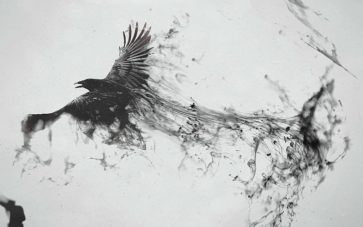 minimalism digital art artwork animals raven crow paint splatter monochrome white background