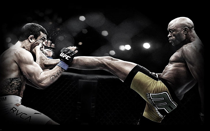 Sports, UFC, Anderson Silva, men, boxing - sport, strength