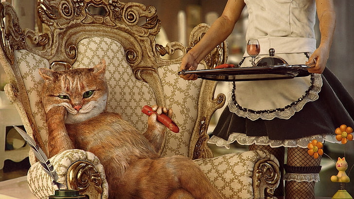 animals, cat, Chair, Cigars, digital art, drink, Fishnet Stockings