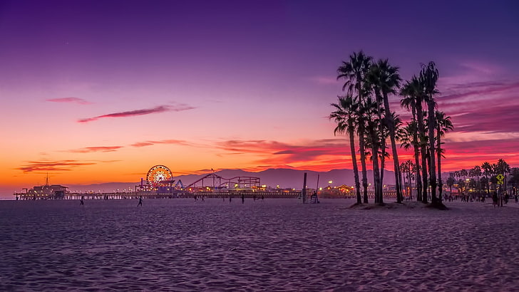 palm trees digital wallpaper, beach, Los Angeles, sunset, sky, HD wallpaper