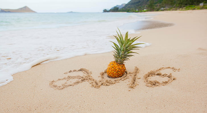 Pineapple near body of water, Happy New Year, Welcome, Hawaii, HD wallpaper