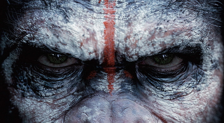 Angry Monkey, Dawn of the Planet of the Apes wallapaper, Animals, HD wallpaper