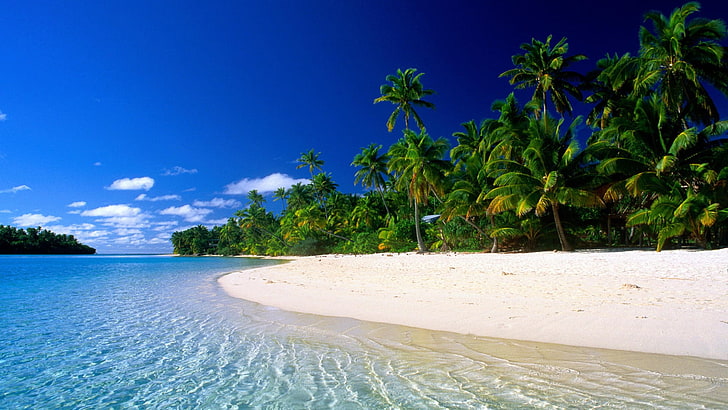 nature, beach, sea, landscape, tropical climate, water, tree, HD wallpaper