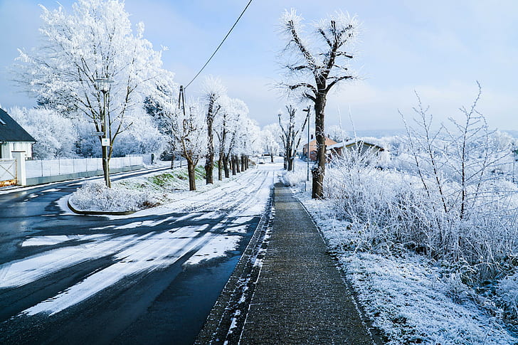 nature, landscape, winter, snow, trees, road, ice, street, white