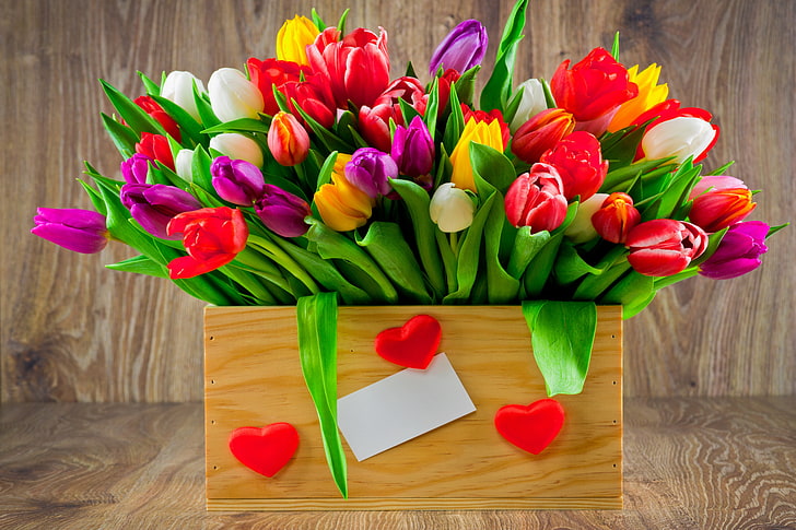 red and purple flowers, bouquet, colorful, tulips, love, fresh, HD wallpaper