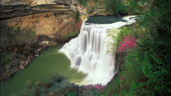 Burgess-falls, green and pink leaved trees and body of water