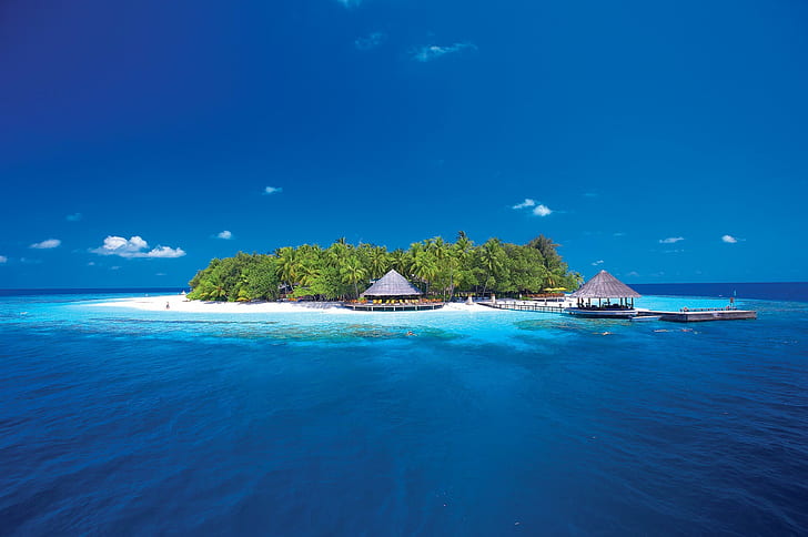 Island with Bungalows, resort island, Ocean, pier, palm trees, HD wallpaper