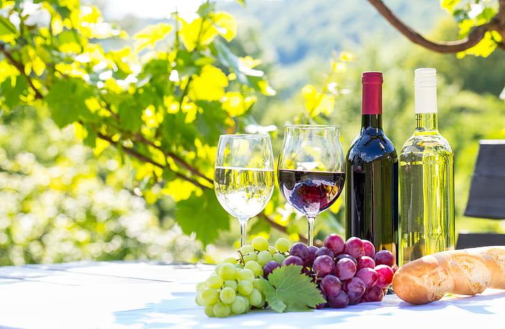 wine, drink, grapes, grapevine, drinking glass, HD wallpaper