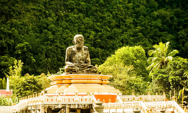 Buddha, Krabi, jungle, tree, sculpture, plant, art and craft