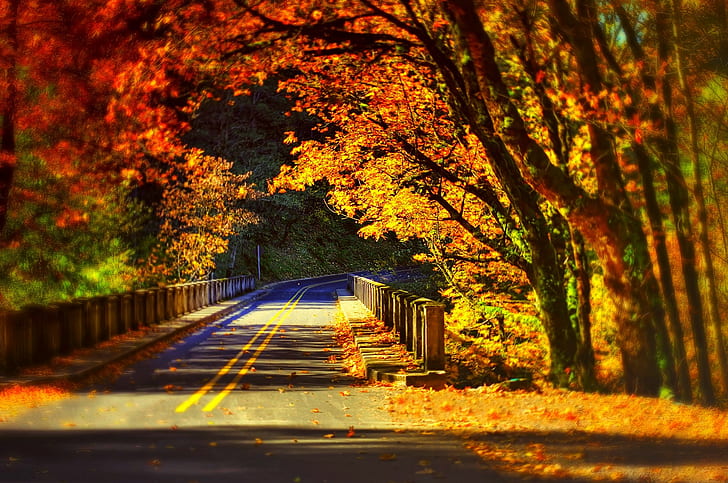 Road bridge in colorfull nature, HD wallpaper