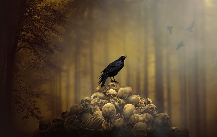 rave perched on pile of human skull illustration, raven, spooky, HD wallpaper