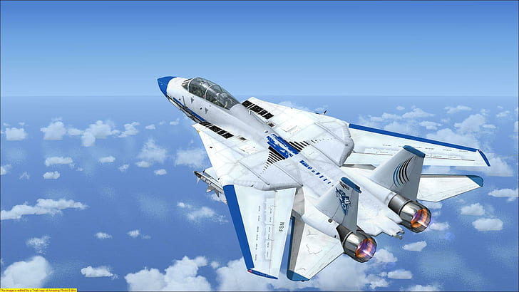 F-14 Tomcat Fsx, military, f-22, burn, aircraft planes