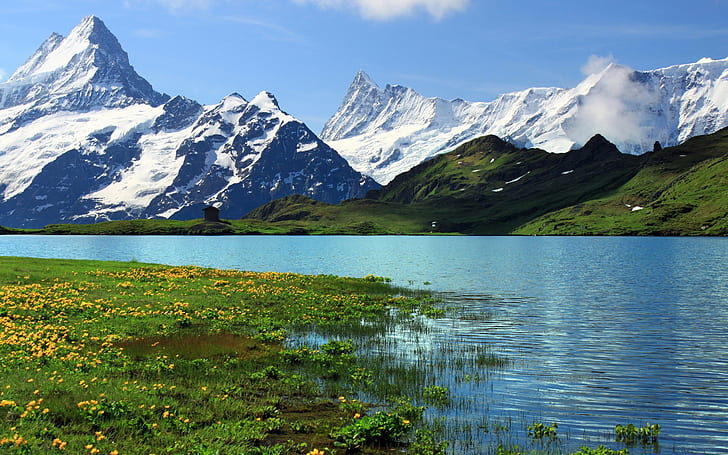 Switzerland, Bern, nature scenery, snowy mountains, river, grass, flowers