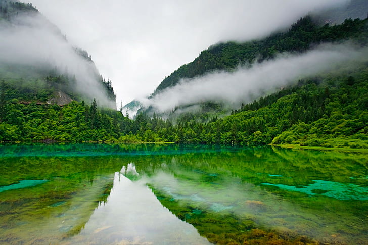Jiuzhaigou Nature Reserve, China, Lake, Clear Water, Trees, Mountain, Mist, Five Colored Lake, Landscape, HD wallpaper