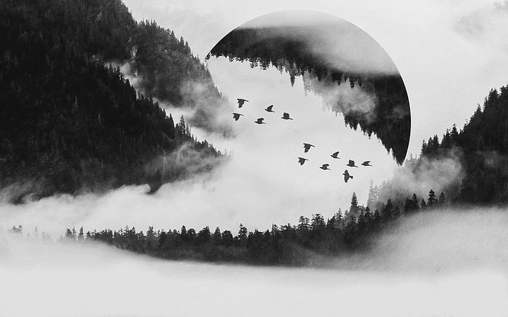 grayscale photo of flying bird photo, forest, trees, birds, photo manipulation
