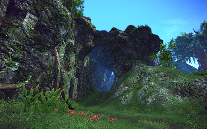 green and gray cave, Tera, Tera online, video games, plant, beauty in nature