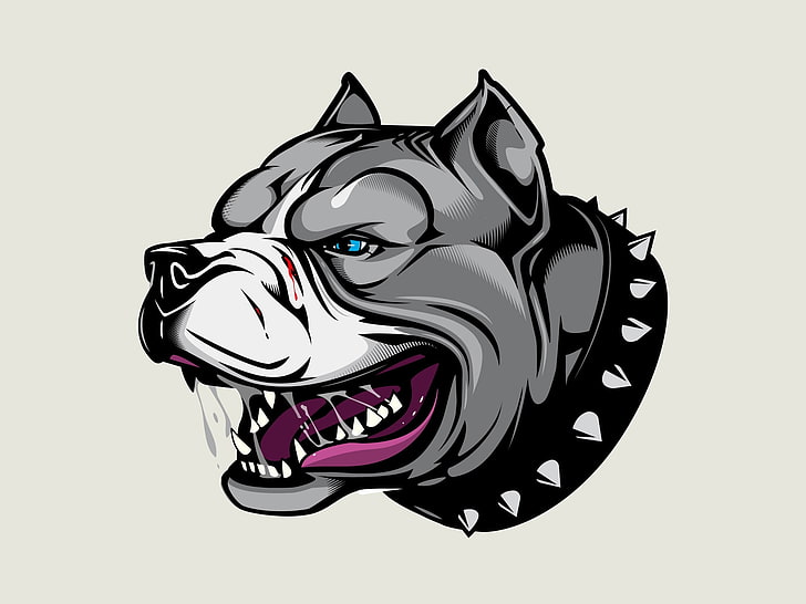 Pit bull dog 1080P, 2K, 4K, 5K HD wallpapers free download | Wallpaper Flare