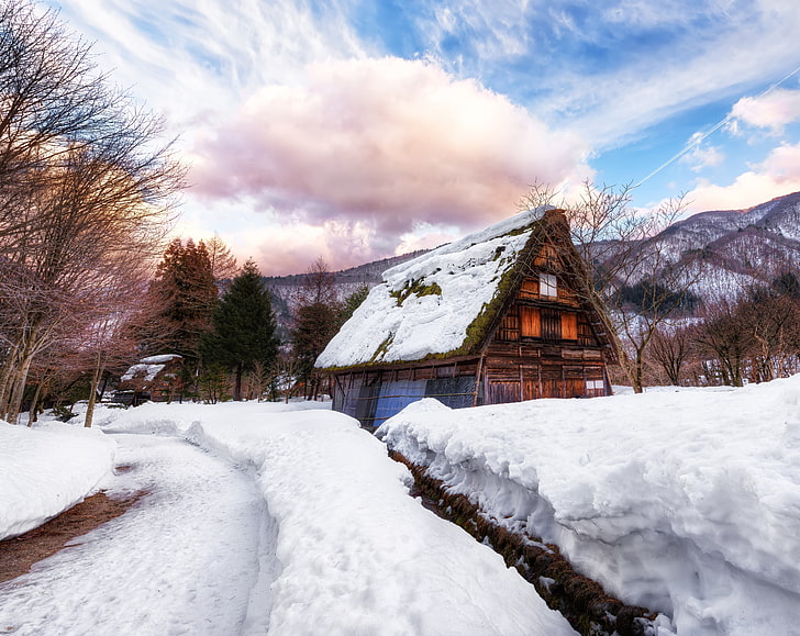 Village in Japan during Winter, brown house, Asia, Mountains