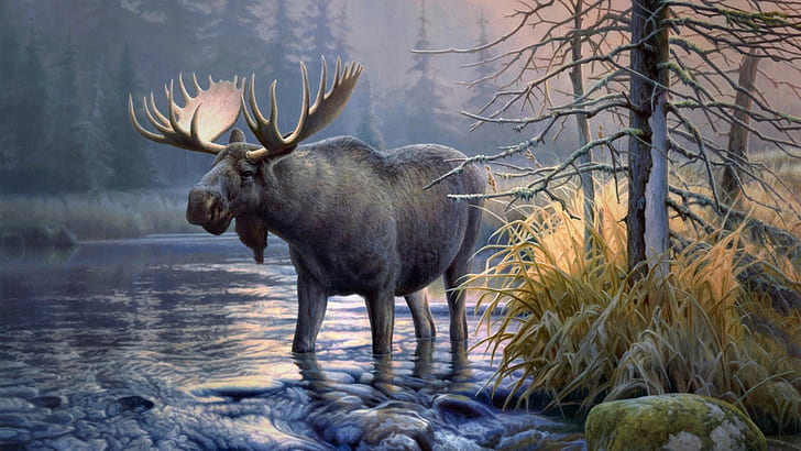 HD wallpaper: elk, animals, moose
