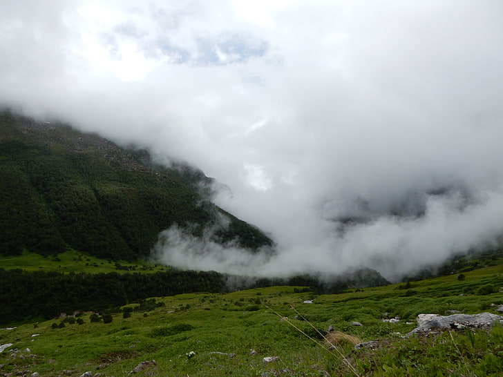 green grass field, clouds, valley, Himalayas, beauty in nature