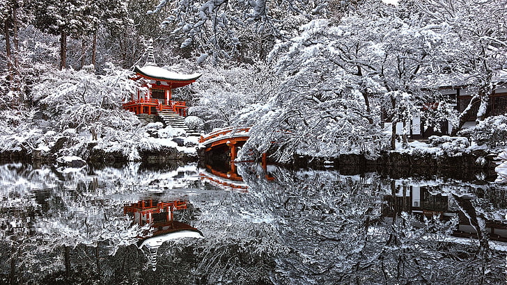 snow-covered trees, Japan, temple, winter, reflection, pond, Kyoto