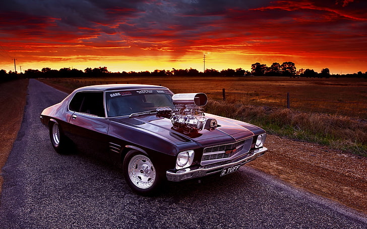car, muscle cars, field, sunset, road, Holden Monaro, transportation, HD wallpaper