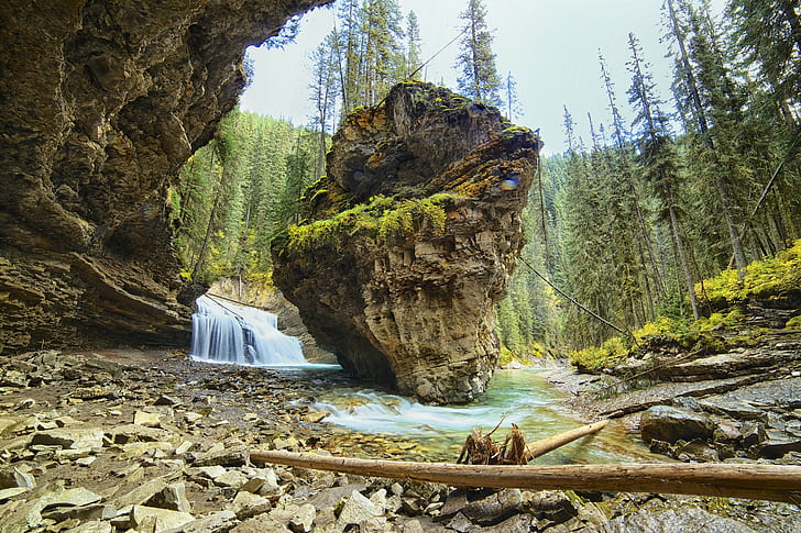 Johnston Canyon, banff national park, river, forest, rock, waterfall