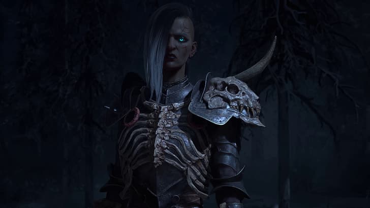 Diablo IV, Necromancer, Blizzard Entertainment, werewolves, HD wallpaper