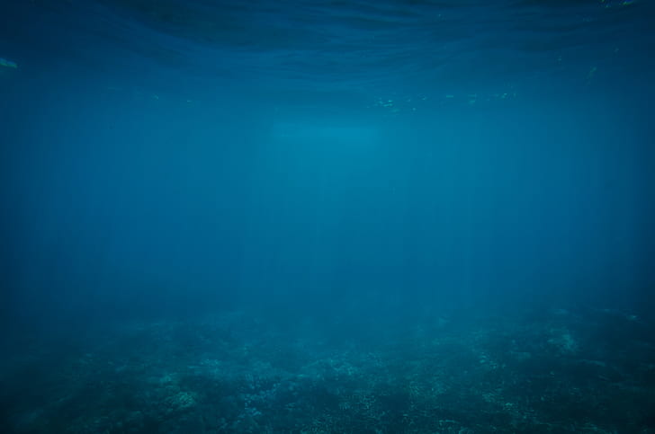 underwater  picture backgrounds, sea, undersea, blue, nature, HD wallpaper