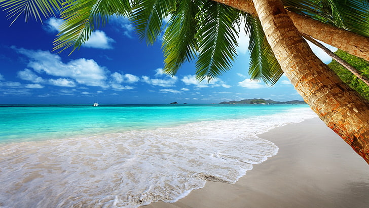 sea waves and green coconut trees, beach, palm trees, tropical
