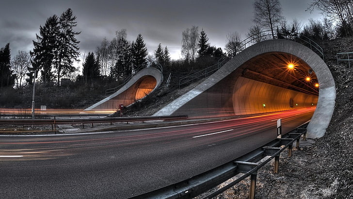 time lapsed photography of tunnel road surrounded by trees, selective coloring