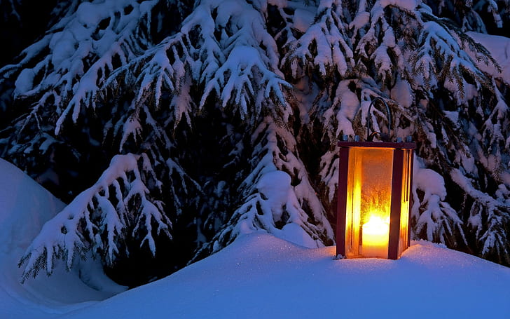 snow, lantern, winter, night, cold, trees