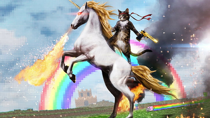 cat, cats, fantasy, funny, sci fi, unicorn, wtf, HD wallpaper