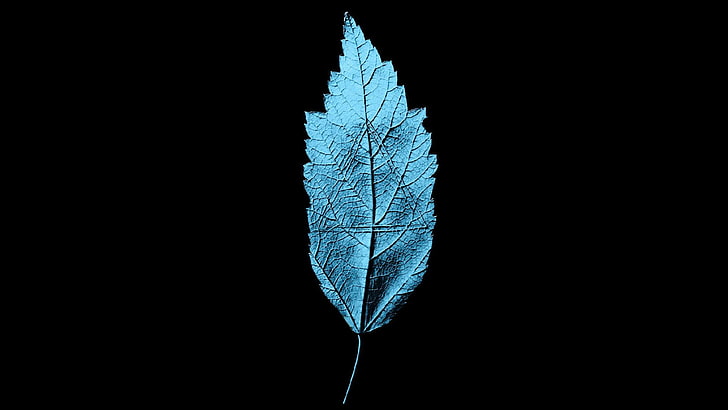 blue leaf, artwork, nature, Fringe (TV series), leaves, cyan, HD wallpaper