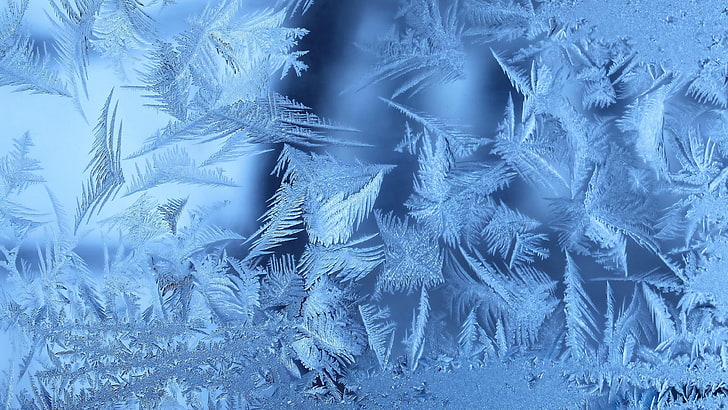 frost, winter, freez, ice, abstract