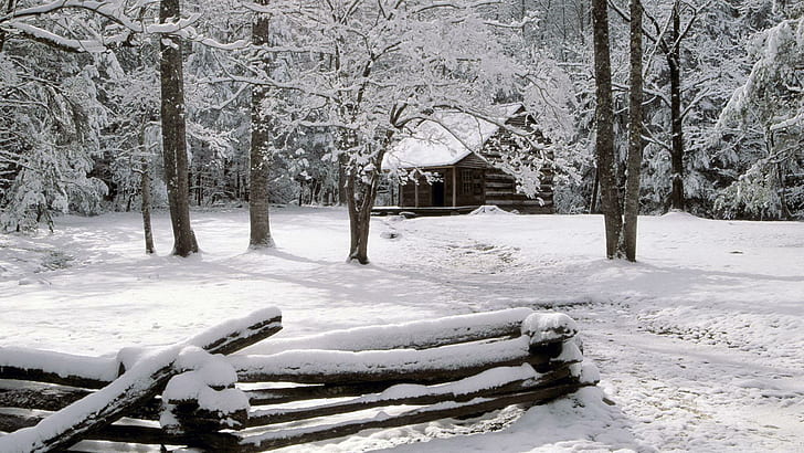 Cabin In Great Smoky Mountains Np Tennessee, forest, fence, winter