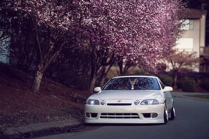white car, trees, street, Japan, Sakura, tuning, Lexus, hellaflash, HD wallpaper