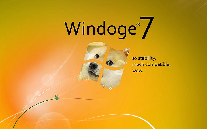 Doge, Memes, Microsoft Windows, Shiba Inu, Windows 7 HD wallpaper