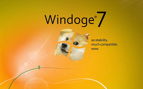 HD wallpaper: doge memes shiba inu windows 7 microsoft windows, animal,  mammal | Wallpaper Flare
