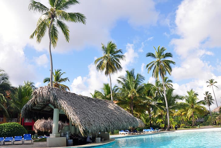palm trees, bar, pool, resort, Dominican Republic, HD wallpaper