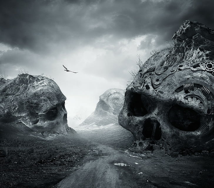 nature, skull, landscape, flying, death, birds, monochrome