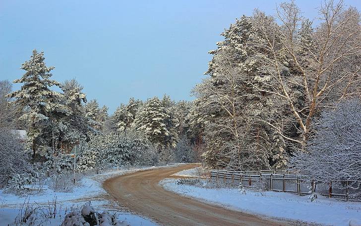 *** Winter Road Through The Forest ***, nature, nature and landscapes
