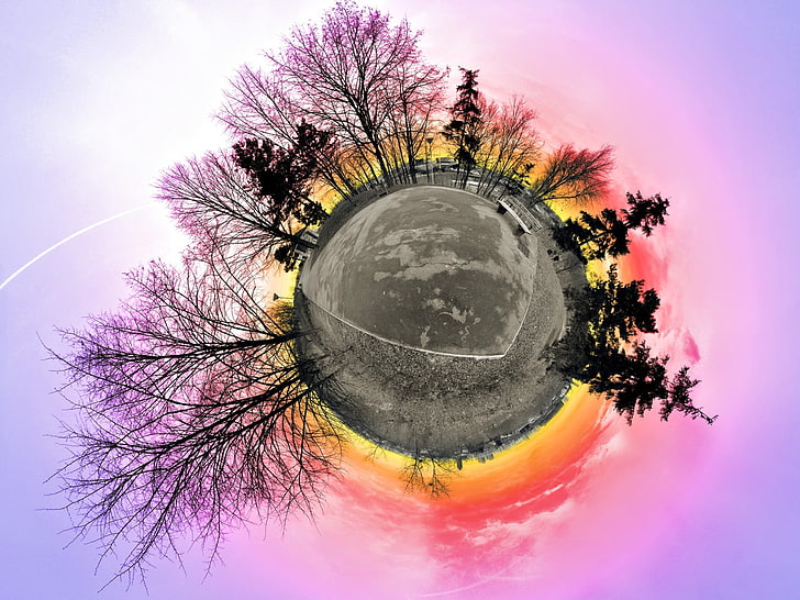gray planet with trees illustration, panoramic sphere, sunset