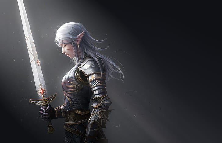 Fantasy, Women Warrior, Armor, Elf, Girl, Pointed Ears, Sword, HD wallpaper