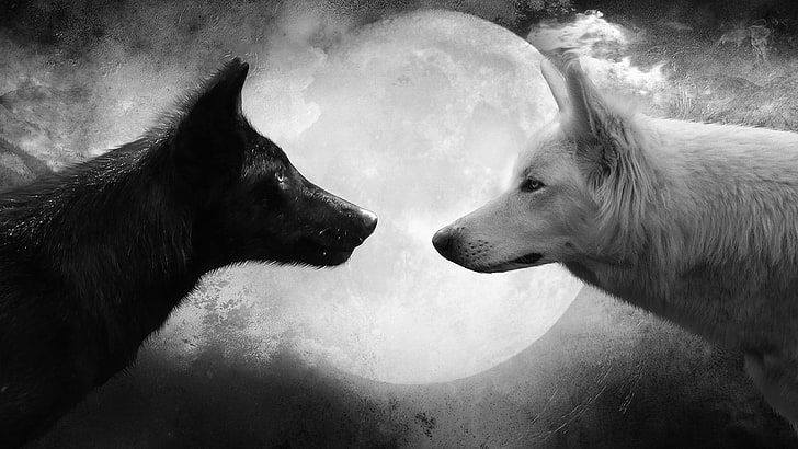 white and black wolf digital wallpaper, Moon, monochrome, artwork