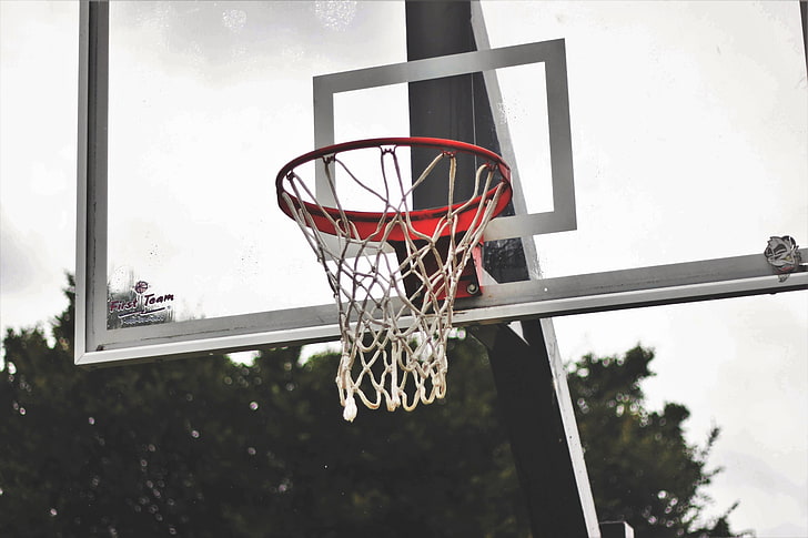 basketball shield, mesh, basketball Hoop, sport, basketball - Sport, HD wallpaper