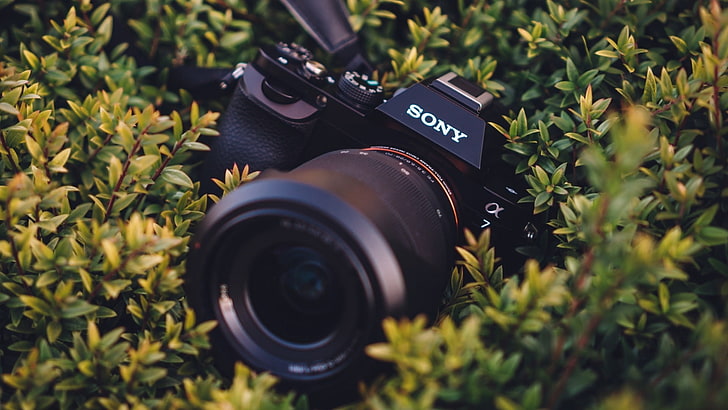 Sony a7 camera-Digital HD Wallpaper, photography themes, camera - photographic equipment
